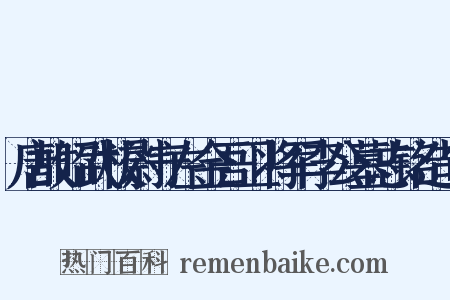 唐故昭武校尉守左金吾卫将军李公墓志铭造句是什么意思的图片